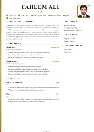 Gold Standard CV preview